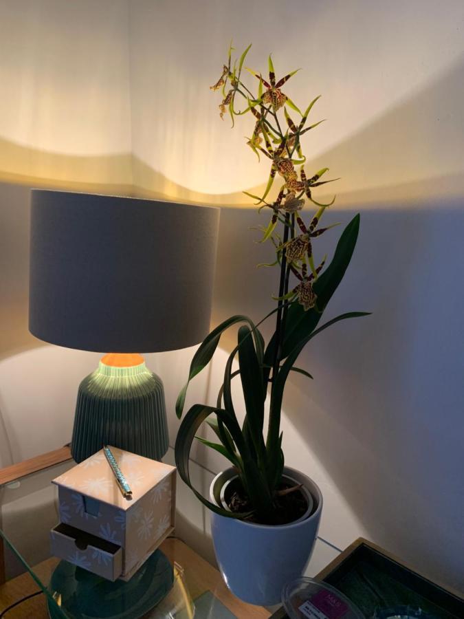 Hideaway Holiday Apartment Salisbury Bagian luar foto